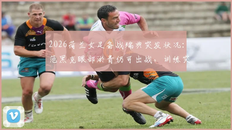 2026荷兰女足备战瑞典突发状况:范黑克眼部淤青仍可出战,训练突遇暴风雨全记录