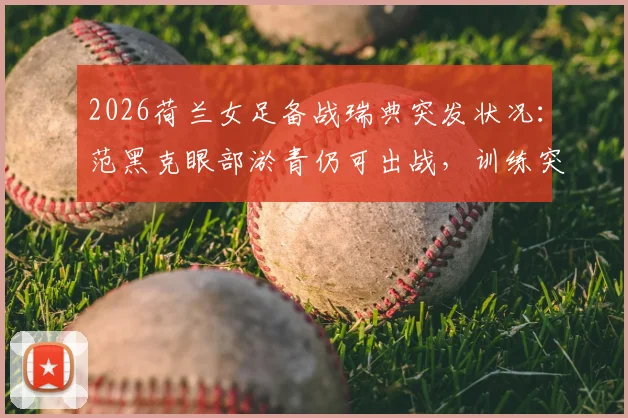 2026荷兰女足备战瑞典突发状况：范黑克眼部淤青仍可出战，训练突遇暴风雨全记录